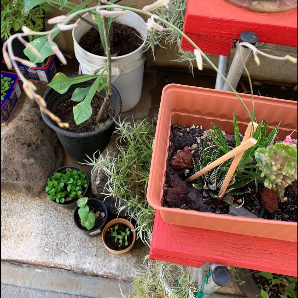 Meet your Posher, Katrina